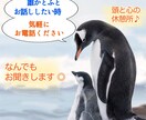 ちょっと誰かとお話ししたい人のお話聞きます いつでも、気軽にお電話ください。 イメージ1