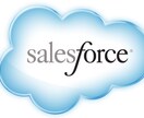 Salesforceの機能説明をします 実際の画面を見ながら操作方法を知りたい方向け イメージ1