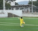 低弾道パントキック教えます 小学生でもできる低弾道パントキック！一生モノの武器を！ イメージ1