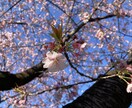 お話お聞きします 小さなことでも大丈夫、私に話してスッキリしちゃいましょう! イメージ3