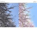 1枚250円~！画像加工・編集承ります ECサイトの商品画像など作成お手伝いします 早期納品も応相談 イメージ9