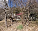 不動産の賃貸・購入相談、運営相談お受けします 収益不動産、居住用不動産に強みを持っています！ イメージ2