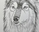 モノクロペンで描く、犬専門の似顔絵描きます 大切なご家族をペン画で一枚一枚、心を込めて手描きします。 イメージ5