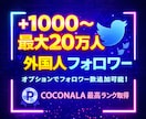 X・旧Twitterの外国人フォロワーを増加します X・旧Twitterフォロワー1000増加！ イメージ1