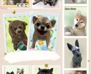 ペット似顔絵☆ロゴ付☆データ2種類！作ります 「リアル＆ほんわか＆可愛いっ」に「ゆるロゴ」まで付いちゃう イメージ8