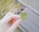 メンタルカウンセリングします どんなことでも話して、楽になってください。 イメージ1