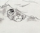 手描きで主に猫イラストを描いています 皆様のリクエストにお応えして猫や様々なイラストを描きます。 イメージ5