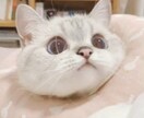 3日間お友達のように、恋人のようになります 女の子でも男の子でも私とお話してみませんか？ イメージ3