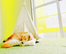 日常の中の素敵な風景撮影します 日常の中の風景写真的なイメージです イメージ5
