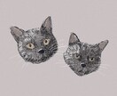 あなただけのペットの絵を描きます ペットの魅力を形に残すお手伝いをさせてください。 イメージ1