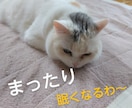 ふる里でお話し聴かせて♡のんびりまったりと聴きます カウンセリングでない♡恋愛　仕事　人間関係　家族愛　自立支援 イメージ7
