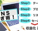 SNSマーケティングにおけるノウハウを教えます SNSマーケティングにおける助言及びその指導を行います！ イメージ1