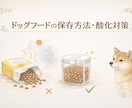 犬の食事やフードの不安を一緒に整理します 今のごはんが合っているか 迷っている方へ イメージ2