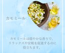 Instagramの投稿テンプレート作ります サロンやクリニック、カフェなどのInstagramに。 イメージ4