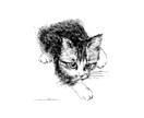 大切なご家族のペットを、心を込めて描きます 愛情をやさしい線画で残しませんか。 イメージ2