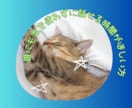 雑談など誰かとちょっと話したいときやさしく聴きます 今日あったこと、愚痴、悩みなど。話し相手として優しく聴きます イメージ9