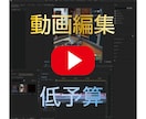 低予算クォリティ重視で動画編集します デザイン会社勤務がプレミアプロで納品！即日納品も可！ イメージ1