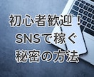 SNS活用で収入アップを目指す戦略法教えます フォロワーUP＆収益化を目指せる/0から始めるSNS活用副業 イメージ1