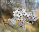 たくさんのお話を聞きます 悩み事、相談したい事など幅広いお話を聞きます イメージ1