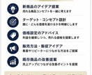 商品開発・経営相談承りますます アイデアから販売戦略まで提案します イメージ4