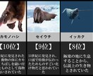 YouTube ランキング(比較)系動画制作します 現在人気のランキング系動画1本1000円で制作致します。 イメージ1