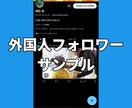 Xツイッター外国人フォロワーを1000人増やします 【最安】X(旧ツイッター)の外国人1000人増加ほぼ減少なし イメージ9