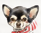 愛犬の似顔絵イラストをお描きします アイコン、鑑賞用、プレゼントに イメージ3