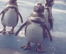 あなた？ストレス溜まってるでしょ？息抜きどお？( ´ ▽ ` )ﾉ イメージ1