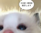 日⇋韓 翻訳します 日⇋韓 現地の若者言葉にも対応して翻訳します イメージ1