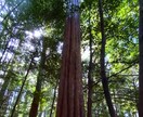私の人生どう進めばいいの？（精神の安定編）読みます ～あなたの心の安心、安定処はどこにあるのか？メンタルの充足。 イメージ1