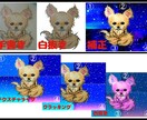 格安！スピーディー！丁寧に！ロゴ作成致します ☆デザイン料を抑えたい方！急いでる方向け！ イメージ7