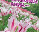 おまかせOK！Youtube等の動画編集します Vlogや日常系、商品紹介、語り系などの編集が得意です！ イメージ3