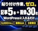 5000字超×5本のSEO記事を画像付きで作ります WordPressに一括投稿｜貼り付け作業ゼロで公開できます イメージ1