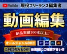 YouTube向け動画編集します カットやテロップなど、イメージに合わせて編集します！ イメージ1