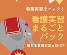 看護実習記録集★アセスメントのテンプレ教えます 超絶安心！看護実習【まるごと】パック★実習記録事例、報告、等 イメージ1