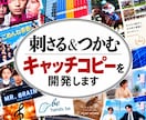 有名ドラマ等のコピーを手がけたプロが作成します 【限定５名★5万円→4万円】プロの言葉で商品の魅力を伝えます イメージ1
