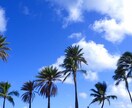 ハワイ(オアフ島) 観光&現地ツアーご提案します ハワイ旅行プラン&現地ツアーに悩んでいる方へ イメージ2
