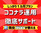 ココナラ初心者向け！収益化のサポートします 売れるための出品作成アドバイス、販売戦略など1カ月サポート！ イメージ1