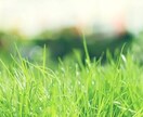 る、ます あいうえとかきくけこさしすせそ イメージ1