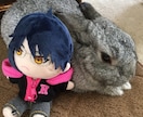オリジナルキャラクターぬい製作します あなただけのオリジナルキャラクターをぬいちゃんにしませんか？ イメージ3