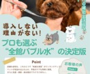 サロン向けチラシ作成します ネイルサロン・美容院・ペットサロンさまお任せください！ イメージ1