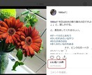 インスタグラムで宣伝できます お店の宣伝は、インスタグラムが一番効果的と言われております イメージ2