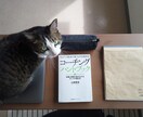やりたいけどできないをプロコーチがサポートします グルグルして判断ができない。が解放されて前向きに進めます。 イメージ2
