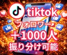 TikTokのフォロワー1000人増やします ✨2000人〜のプランもあります✨保証あり✨ イメージ1