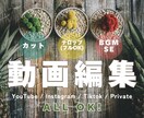 動画編集承ります ご要望に寄り添った動画をお作りします！ イメージ1