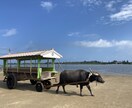 石垣島の旅行おすすめ教えます 移住経験有だからこそのおすすめのお店やポイント教えます! イメージ8