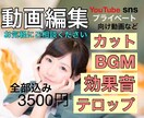 イメージされている動画に仕上げます 一つしかない理想の動画を作成！ イメージ1