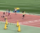 自分の運動ポテンシャルを引き出す為の相談にのります 鍛えるだけじゃなく、使えるようにしていくこと イメージ2