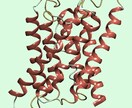 分子シミュレーション代行いたします 対応分野：創薬/材料開発/化粧品/水分子/高分子/カーボン等 イメージ2