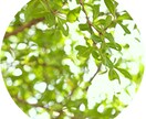 心のモヤモヤをポジティブに切り替えます ポジティブに気分アゲましょ^_^！！ イメージ3